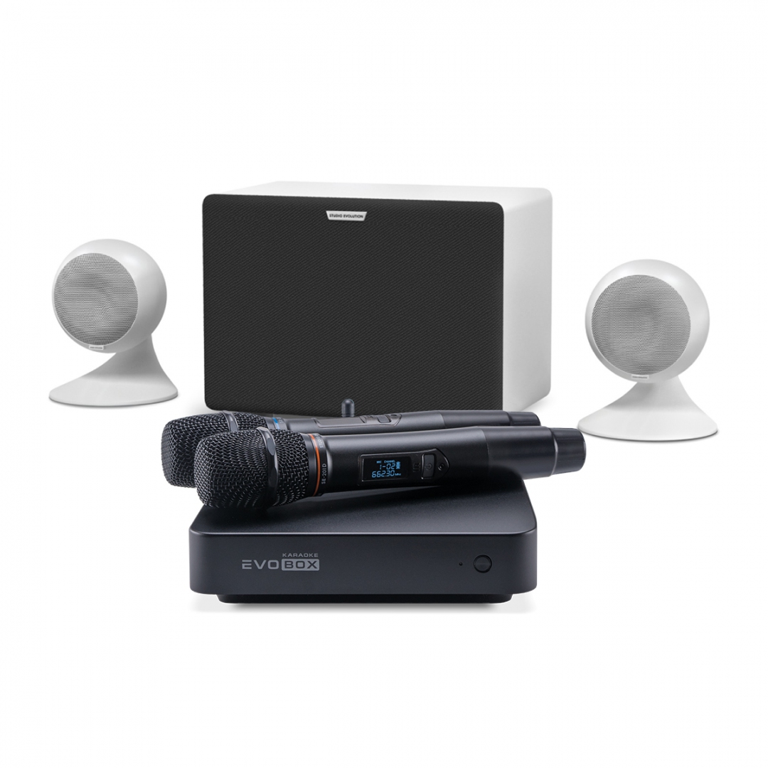 караоке-комплект EVOBOX Classic + EvoSound Sphere 2.1 в Калуге