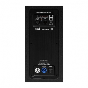 Активная акустическая система AST-310A в Калуге