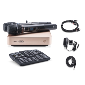 EVOBOX Classic караоке-система для дома в Калуге